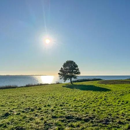 3 Bedroom Pet Friendly In